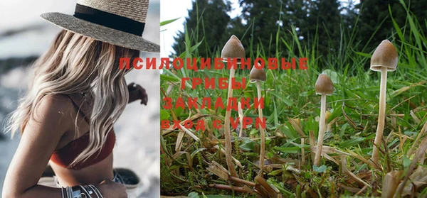 дистиллят марихуана Зерноград