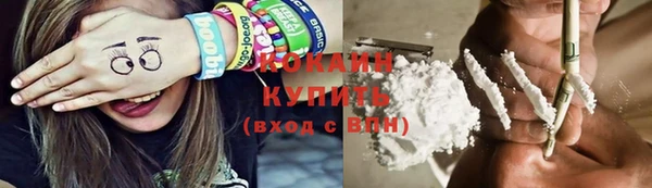 шишки Зеленодольск